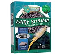 Greenwaterfarm Fairy Shrimp Thailandensis Eggs Live Fish Food for Hatching and Culture, Suitable for Feed Betta Fish