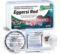 Greenwaterfarm Killifish Eggs Nothobranchius [Eggersi Red] - Tropical Freshwater Fish Eggs for Hatching, Packed with Food, Dropper, and Indian Almond Leaves, Suitable for Education and as a Hobby