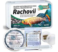 GreenWaterFarm Killifish Eggs Nothobranchius [Rachovii] - Tropical Freshwater Fish Eggs for Hatching, Packed with Food, Dropper, and Indian Almond Leaves, Suitable for Education and as a Hobby