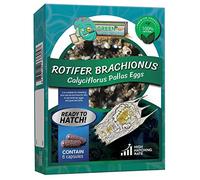 Greenwaterfarm Rotifers Brachionus calyciflorus Pallas Eggs Live Fish Food for Hatching and Culture Suitable for Feed Betta Fish