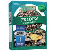 GreenWaterFarm Triops Granarius Eggs for Hatching and Culture Suitable to be Pet and Science Project (Pure 200 Eggs)