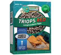 Greenwaterfarm Triops Red Longicaudatus Eggs for Hatching and Culture Suitable to be Pet and Science Project (Pure 200 Eggs)
