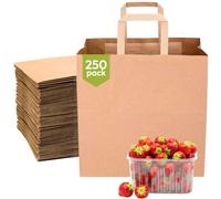 Greenwich Packaging Brown Paper Bags With Handles 80gsm (250 Pack - Small) | Reusable, Odour-Free | Best for Takeaway, Lunch, Grocery, Shopping, Gift, Party, Restaurant Supply