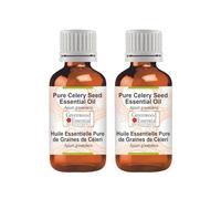 Greenwood Essential Pure Celery Seed Essential Oil (Apium graveolens) Steam Distilled (Pack of Two) 10ml X 2 (0.66 oz)