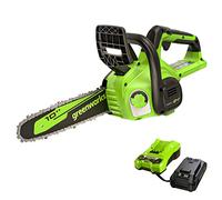 Greenworks 24V 10" Chainsaw, 2.0Ah USB Battery and Charger