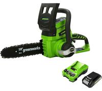 Greenworks 24V 25Cm Chainsaw With 2Ah Battery And Charger Green