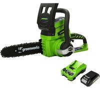 Greenworks 24V 25Cm Chainsaw With 2Ah Battery And Charger Green