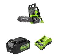 Greenworks 24V Cordless Chainsaw Battery Powered, 25cm Bar Length- 2000007 & Battery G24B4 2nd Generation & G24C 24V 2A Universal Charger Gen 2