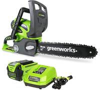 Greenworks 40V 12" Cordless Compact Chainsaw (Great for Storm Clean-Up, Pruning, and Camping), 2.0Ah Battery and Charger Included