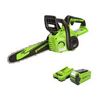 Greenworks 40V 12" Cordless Compact Chainsaw (Great for Storm Clean-Up, Pruning, and Camping), 2.0Ah Battery and Charger Included