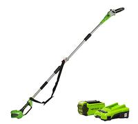 Greenworks 40V 20cm Pole Bar including Battery and Charger Green - Green - 1 - Pole Saw