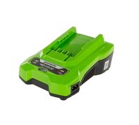 Greenworks Charger 40 V - G40C