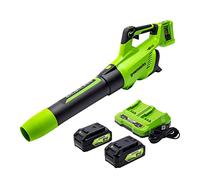 Greenworks 48V (2 x 24V) Cordless Brushless Axial Leaf Blower (140 MPH / 585 CFM / 125+ Compatible Tools), (2) 4.0Ah Batteries and Dual Port Rapid Charger Included