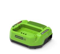 Greenworks 60V 2A Battery Charger