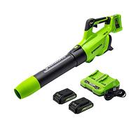 Greenworks BL48B2210 Axial Leaf Blower, 2.5Ah x 2 Battery and Charger, Green