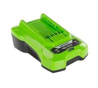 Greenworks Charger 40 V - G40C