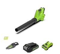 Greenworks Cordless Axial Leaf Blower G24AB and Cordless Handheld Vacuum Cleaner G24HV (Li-Ion 24V, 144km/h Air Speed, 2-Filter System for Wet and Dry Use with 2Ah Battery and Charger)