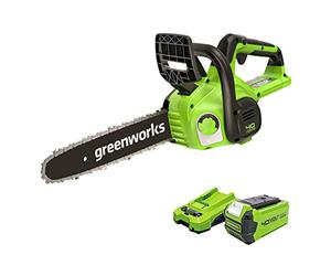 Greenworks Cordless Chainsaw Battery Powered , 12 Inch (30cm) Bar Length, 4.2m/s Chain Speed, 2.6kg, Auto-Oiler, 40V 2AH Battery & Charger, 3 Year Guarantee-G40CS30IIK2