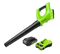 Greenworks Cordless Leaf Blower, Lightweight Axial Battery Leaf Blower 156km/h 4.27m3/min with 24V Battery & Charger, Electric Leaf Blower Cordless Garden Blower, 3 Year Guarantee G24ABK2