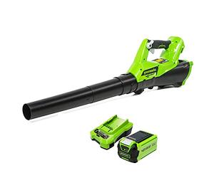 Greenworks Cordless Leaf Blower with Cruise Control, Lightweight Axial Leaf Blower 177km/h 11.05m3/min, 40V 2Ah Battery & Charger, Electric Leaf Blower Cordless Garden Blower, 3 Year Guarantee G40ABK2