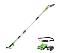Greenworks G24PS20K2 Cordless long reach Pole Saw (Great for Pruning and Trimming Branches), 8 Inch (20cm) Bar Length, 6.7m/s Chain Speed, light weight, 2.6m Pole Reach, 24V 2Ah Battery & Charger