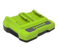 Greenworks 24V Twin Port 2A Charger