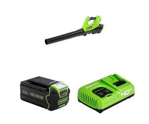 Greenworks Tools 40V Axial Cordless Leaf Blower G40AB + 40V Battery G40B4 + Tools Battery Fast Charger