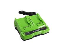 Greenworks Tools Double Slot Battery Universal Charger G24X2UC2 (Li-Ion 24 V 48 W Output Suitable for all Batteries of the 24 V Greenworks Series)