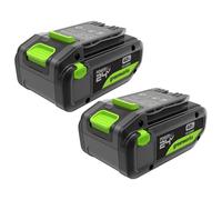 Greenworks TwinPack 24V 4Ah High Power USB-C Battery suitable for all 200+ Greenworks 24V devices, 2-year warranty - K2D8NNA