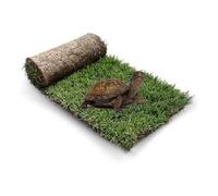GreenZolla - The Original Turtle Litter Tray in Real Natural Grass, 100% Natural Sleeper for Turtles in Real Lawn, Play and Relax Area for Animals
