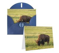 Greeting Bison Eats Grass Blank Greetings Card With Envelopes Thank You Cards Note Cards All Occasion Cards For Christmas Holidays Birthday Graduation Anniversaries