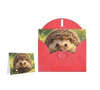 Greeting Card Blank Note Cards with Envelope Folded Message Keepsake Design
