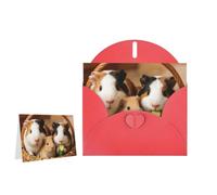 Greeting Card Blank Note Cards with Envelope Folded Message Keepsake Design