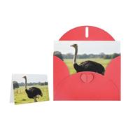 Greeting Card Blank Note Cards with Envelope Folded Message Keepsake Design