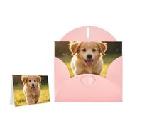 Greeting Card Blank Note Cards with Envelope Folded Message Keepsake Design
