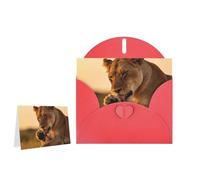 Greeting Card Blank Note Cards with Envelope Folded Message Keepsake Design