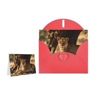 Greeting Card Blank Note Cards with Envelope Folded Message Keepsake Design