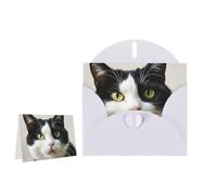 Greeting Card Blank Note Cards with Envelope Folded Message Keepsake Design | Black And White Cats Wish Card Occasion Cards Personal Message Space For Birthday Wedding Anniversary Thank You