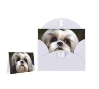 Greeting Card Blank Note Cards with Envelope Folded Message Keepsake Design | Curly Haired Dog Wish Card Occasion Cards Personal Message Space For Birthday Wedding Anniversary Thank You