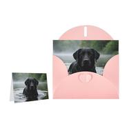 Greeting Card Blank Note Cards with Envelope Folded Message Keepsake Design | Dog Swimming Wish Card Occasion Cards Personal Message Space For Birthday Wedding Anniversary Thank You