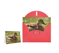 Greeting Card Blank Note Cards with Envelope Folded Message Keepsake Design | Duck Swimming Wish Card Occasion Cards Personal Message Space For Birthday Wedding Anniversary Thank You