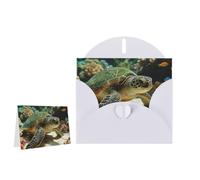 Greeting Card Blank Note Cards with Envelope Folded Message Keepsake Design | Sea Turtle Wish Card Occasion Cards Personal Message Space For Birthday Wedding Anniversary Thank You