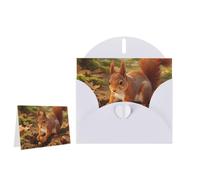 Greeting Card Blank Note Cards with Envelope Folded Message Keepsake Design | Squirrel Collecting Nuts Wish Card Occasion Cards Personal Message Space For Birthday Wedding Anniversary Thank You