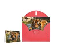 Greeting Card Blank Note Cards with Envelope Folded Message Keepsake Design | Tiger Swimming Wish Card Occasion Cards Personal Message Space For Birthday Wedding Anniversary Thank You