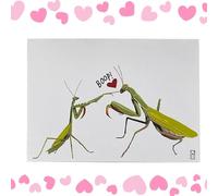 Greeting Card - Funny Praying Mantis Valentines Card | Romantic Keepsake | Humorous Love Cards For Couples Wedding, Aniversary, & Romantic Gift, Him & Her, Joke Gift For Husband Idea