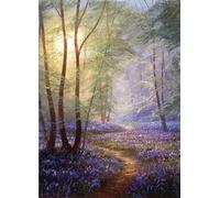 Greeting Card (LD1727) Open Birthday - Bluebell Wood - Sun Through Trees