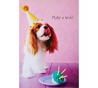 Greeting Card Make A Wish - Happy Birthday with Cavalier King Charles Spaniel Dog - A Year of Wishes Come True