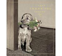 Greeting Card (PIG4208) - Thank You - Can't Thank You Enough - Puppy with Flowers - Love Unlimited Range - Foil Finish