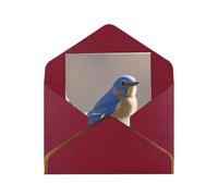 Greeting Cards 17.5 X 11.5 Cm Blank Note Cards Eastern Bluebird Greeting Card Folding Blank Greeting Note Cards With Envelopes Thank Of You Card Blank Card For All Occasions