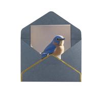 Greeting Cards 17.5 X 11.5 Cm Blank Note Cards Eastern Bluebird Greeting Card Folding Blank Greeting Note Cards With Envelopes Thank Of You Card Blank Card For All Occasions